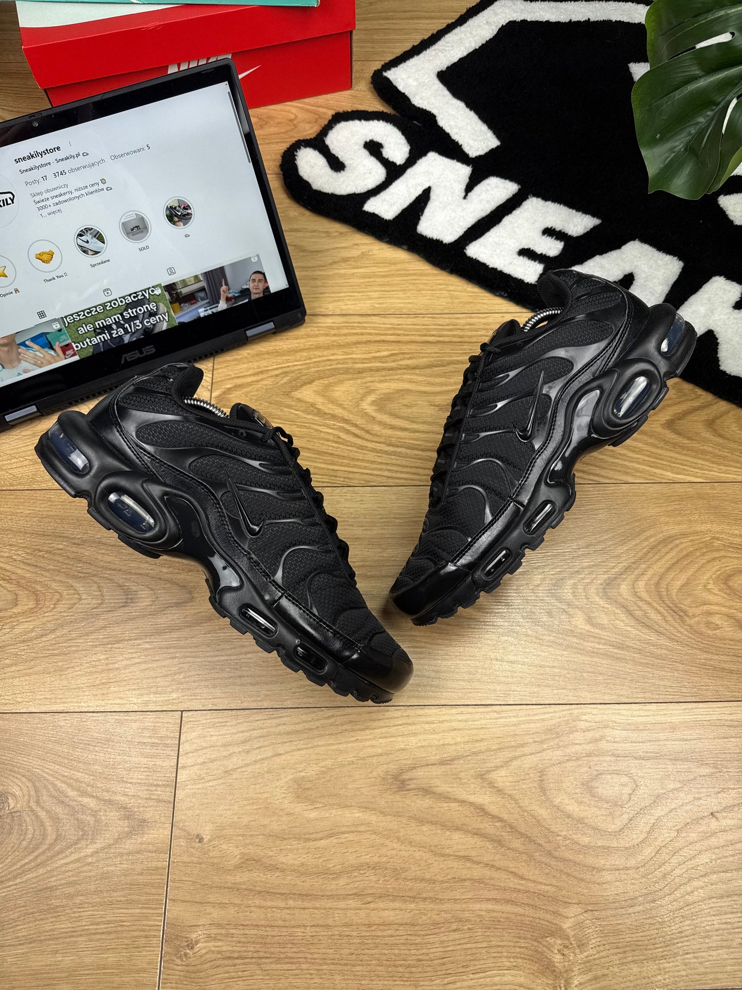 Nike Air Max Plus (45.5)