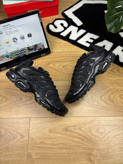 Nike Air Max Plus (45.5)
