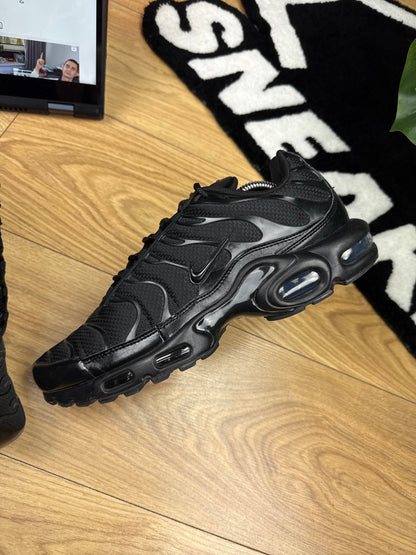 Nike Air Max Plus (45.5)