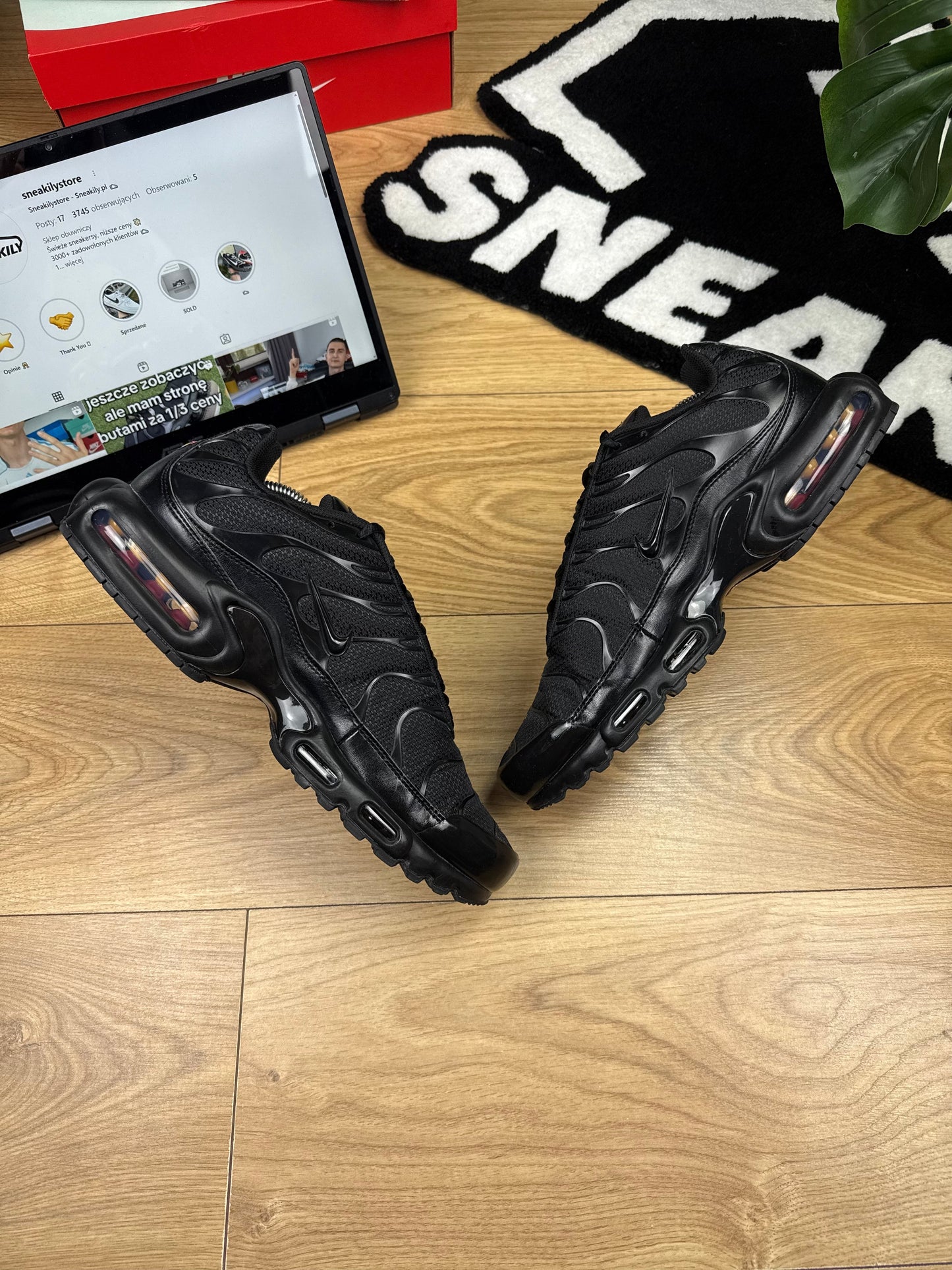 Nike Air Max Plus (45.5)