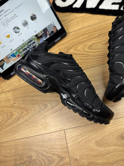 Nike Air Max Plus (45.5)