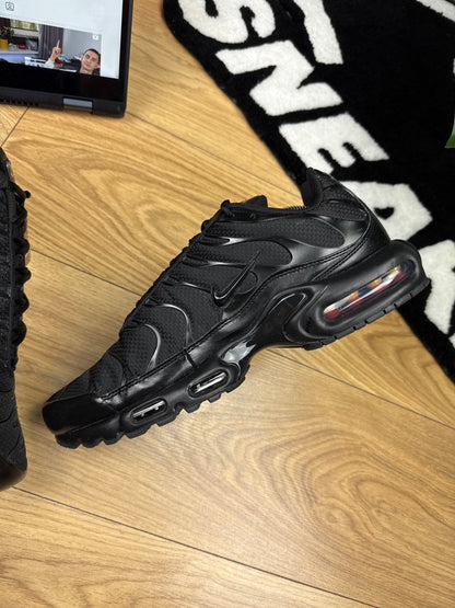Nike Air Max Plus (45.5)