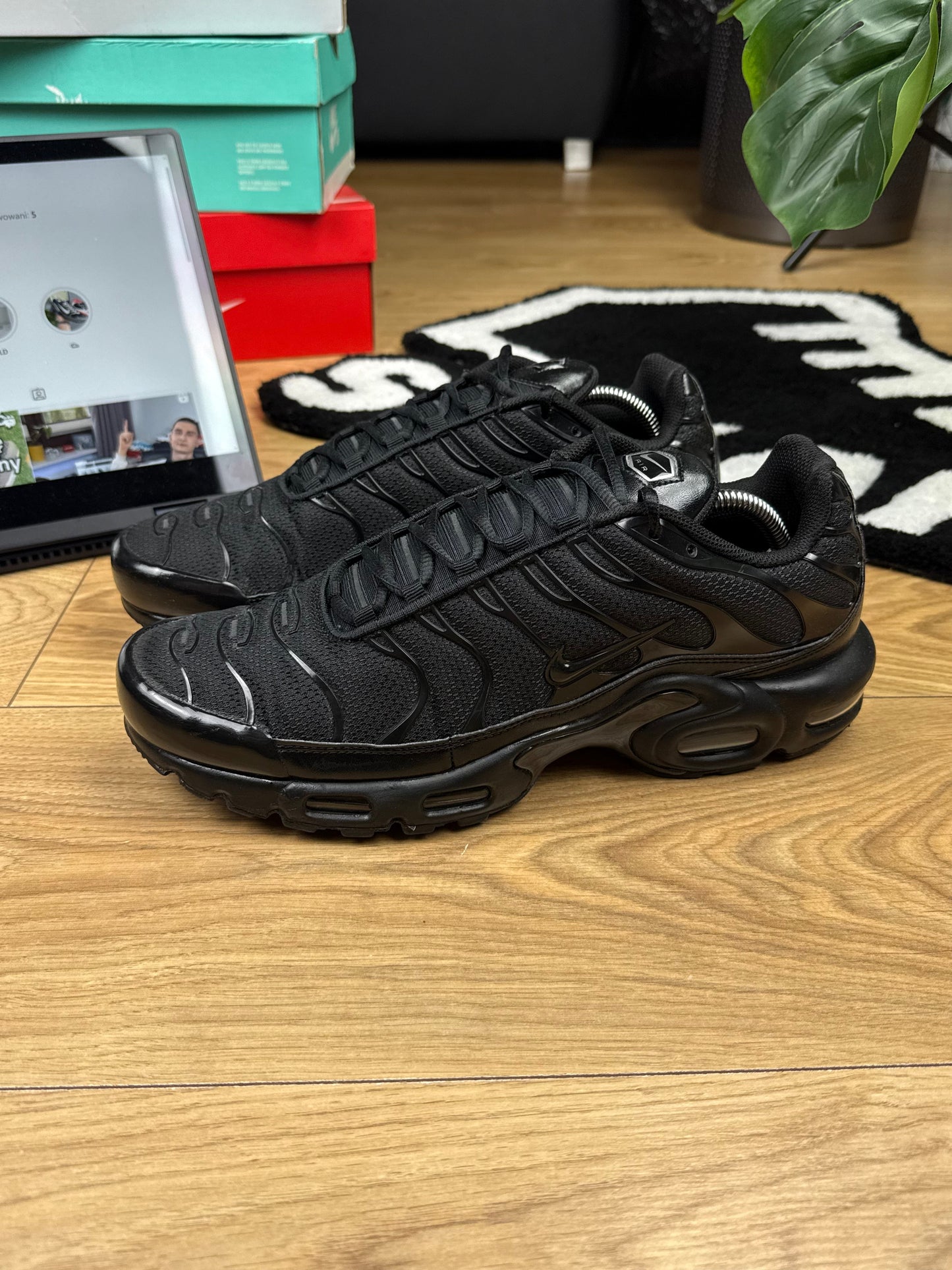 Nike Air Max Plus (45.5)