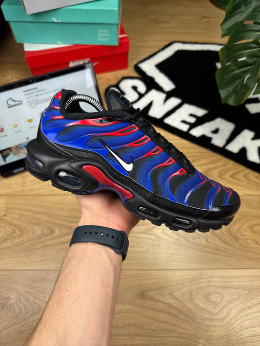 Nike Air Max Plus (42.5)
