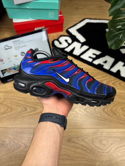 Nike Air Max Plus (42.5)