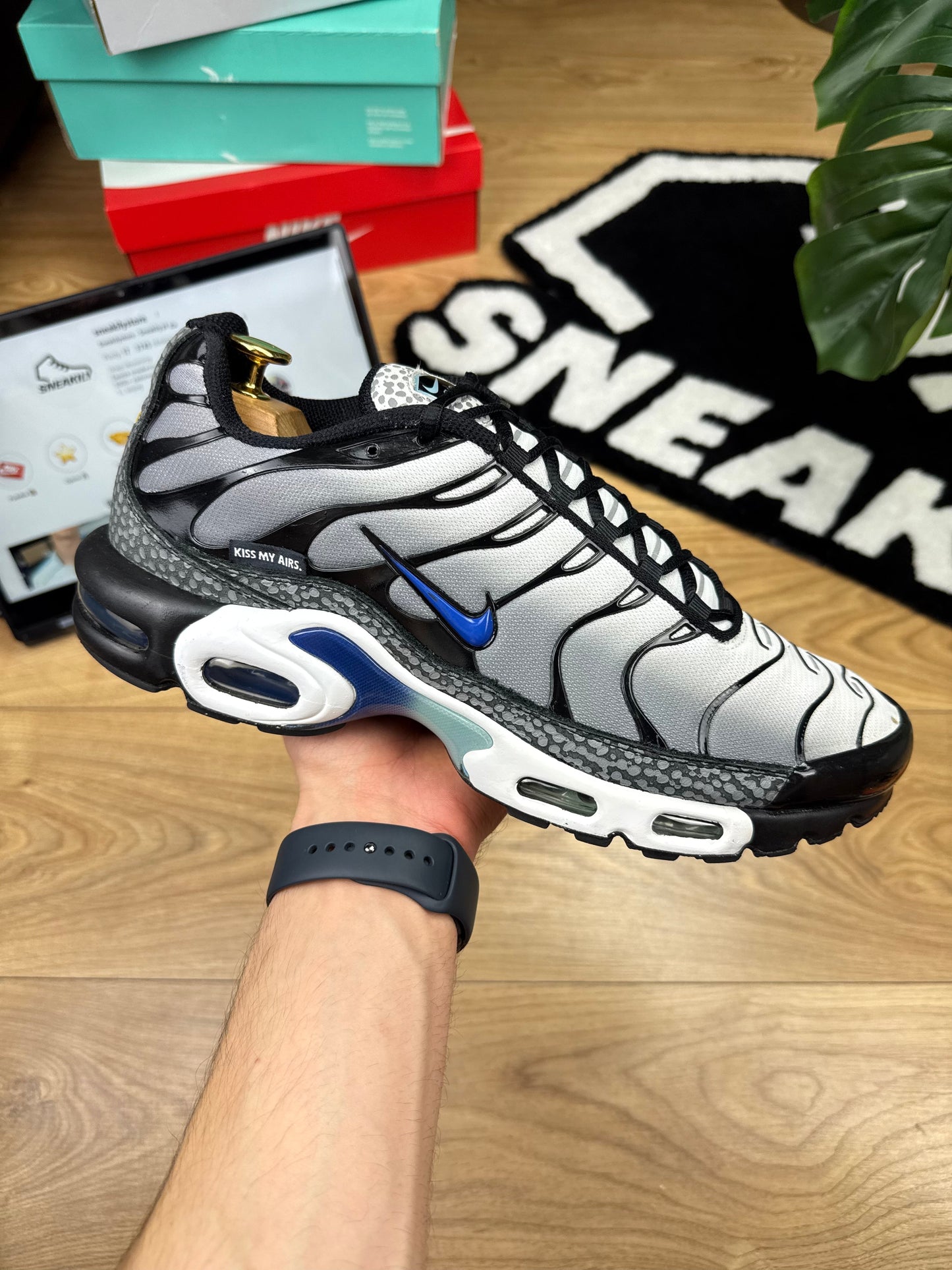 Nike Air Max Plus (46)