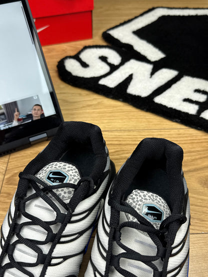 Nike Air Max Plus (46)