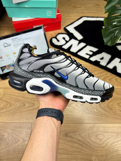 Nike Air Max Plus (46)