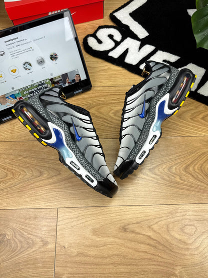 Nike Air Max Plus (46)