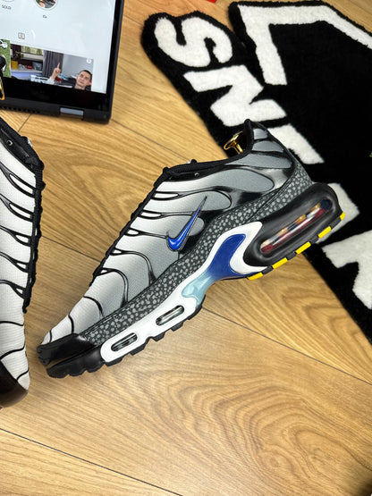 Nike Air Max Plus (46)