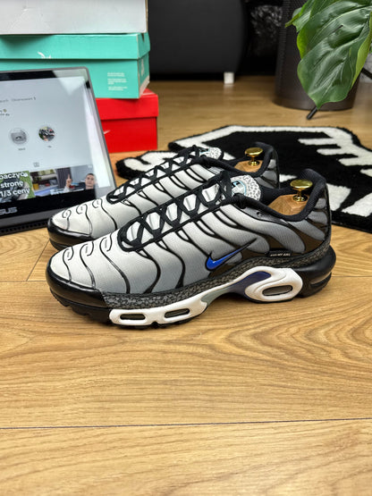 Nike Air Max Plus (46)