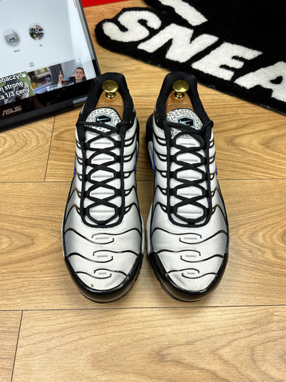 Nike Air Max Plus (46)