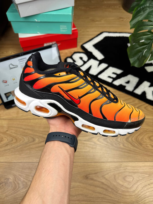 Nike Air Max Plus (46)