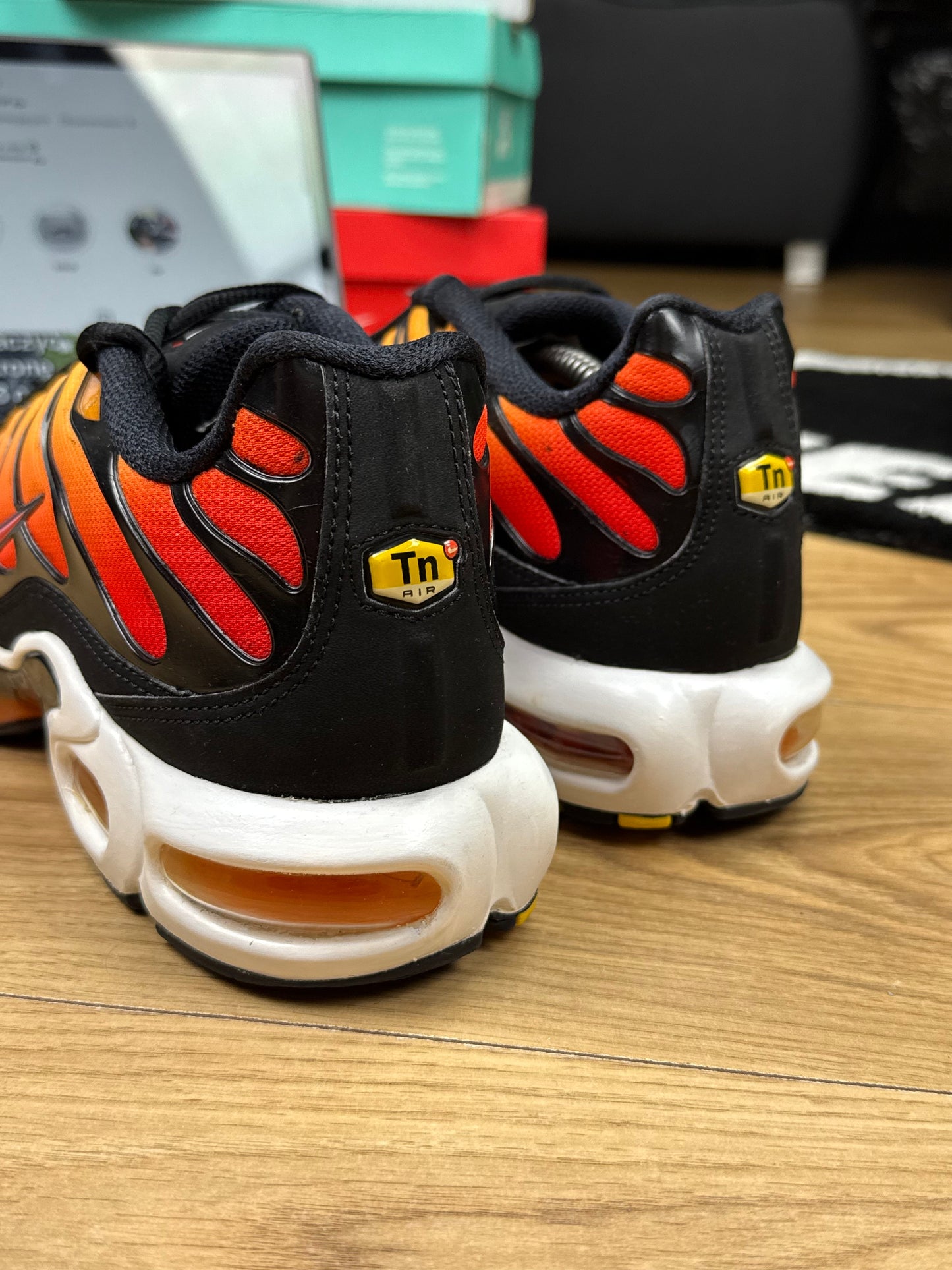 Nike Air Max Plus (46)