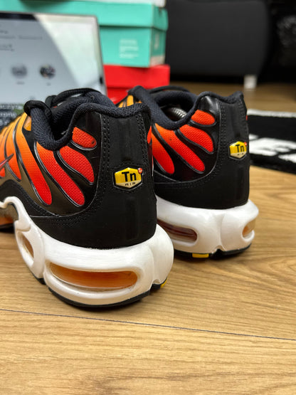 Nike Air Max Plus (46)