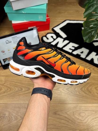 Nike Air Max Plus (46)