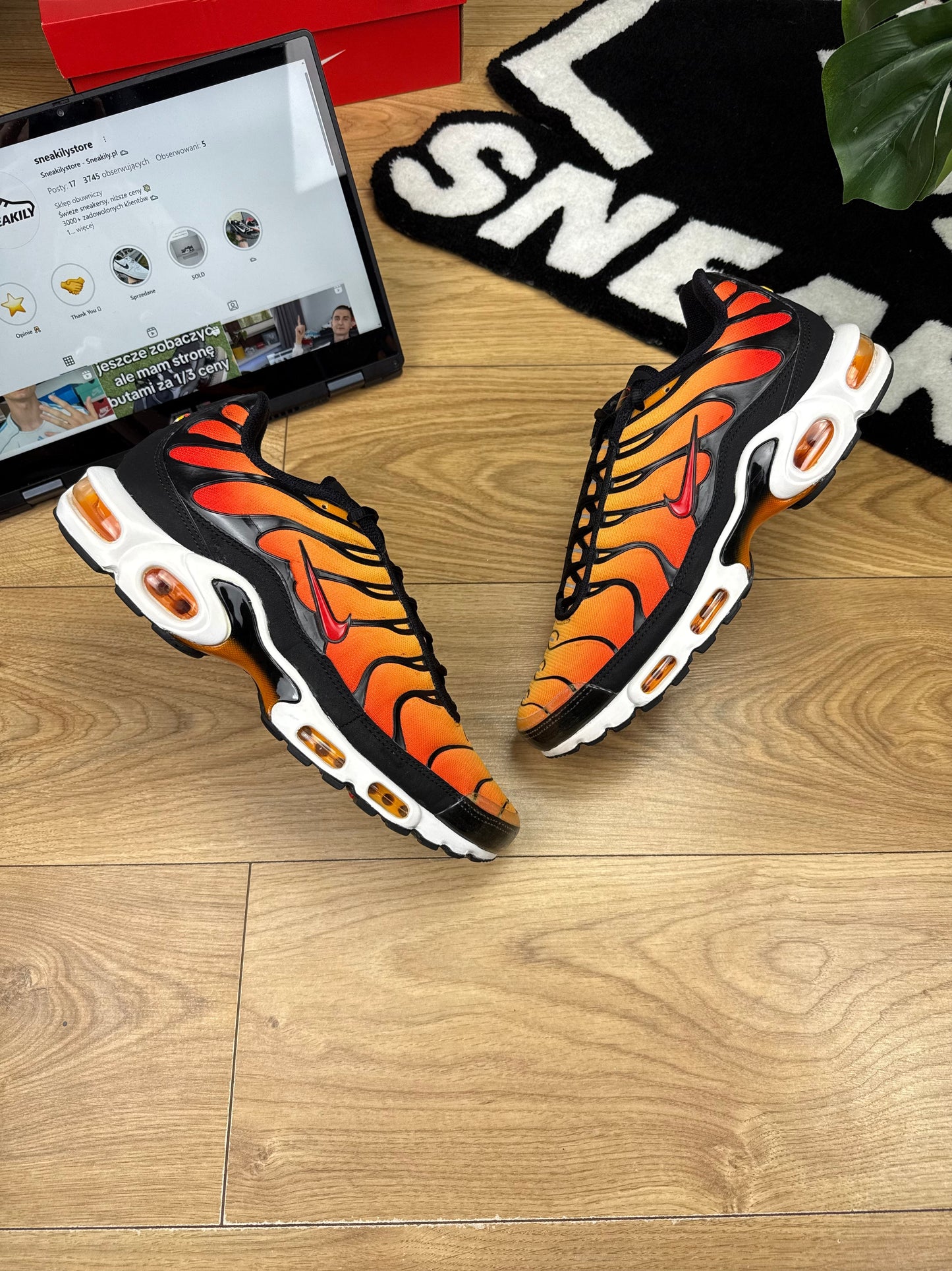 Nike Air Max Plus (46)