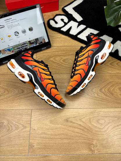Nike Air Max Plus (46)