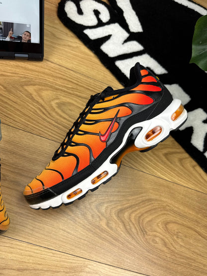 Nike Air Max Plus (46)