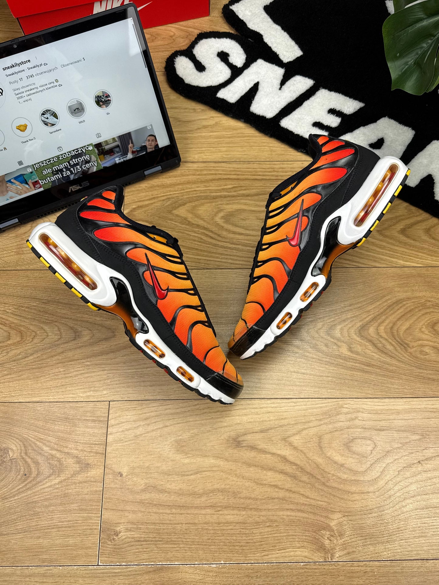 Nike Air Max Plus (46)