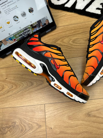 Nike Air Max Plus (46)