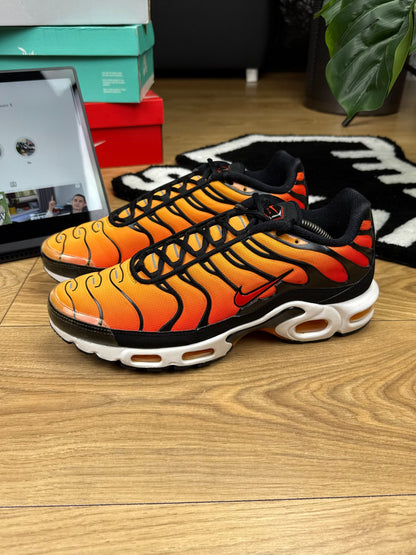 Nike Air Max Plus (46)