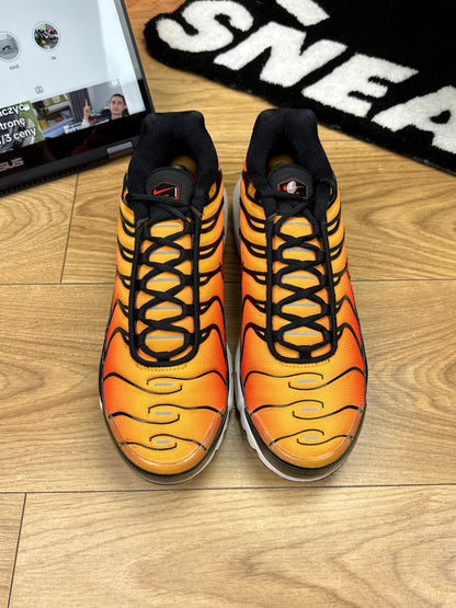 Nike Air Max Plus (46)