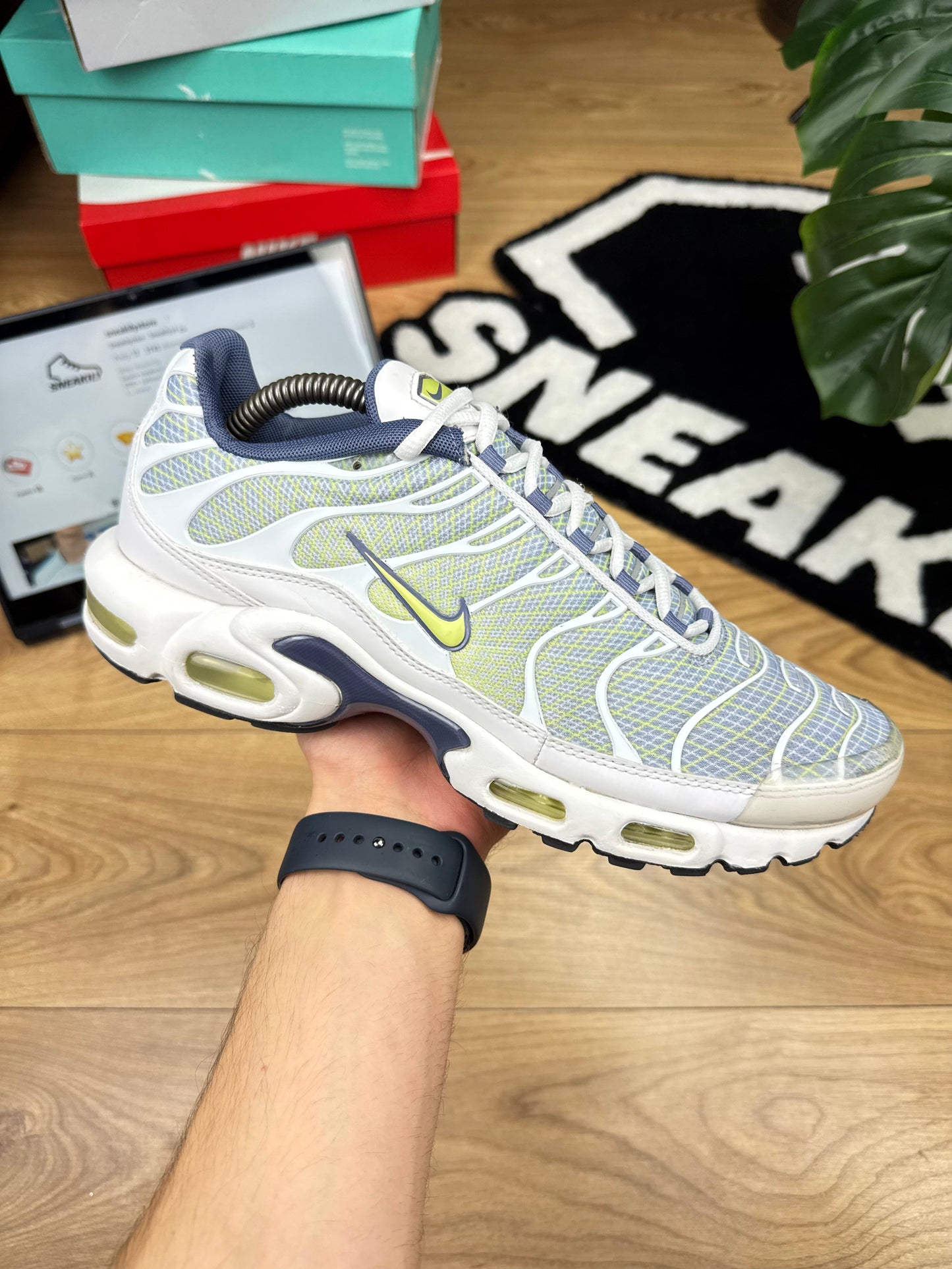 Nike Air Max Plus (44)