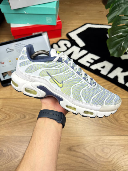 Nike Air Max Plus (44)