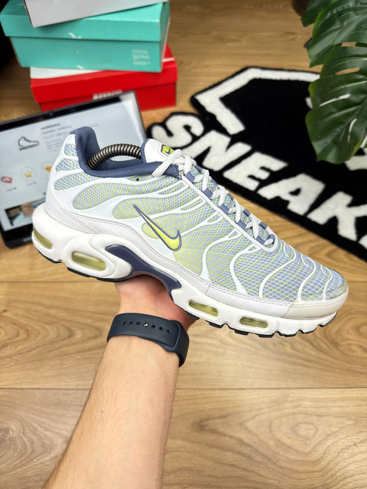 Nike Air Max Plus (44)