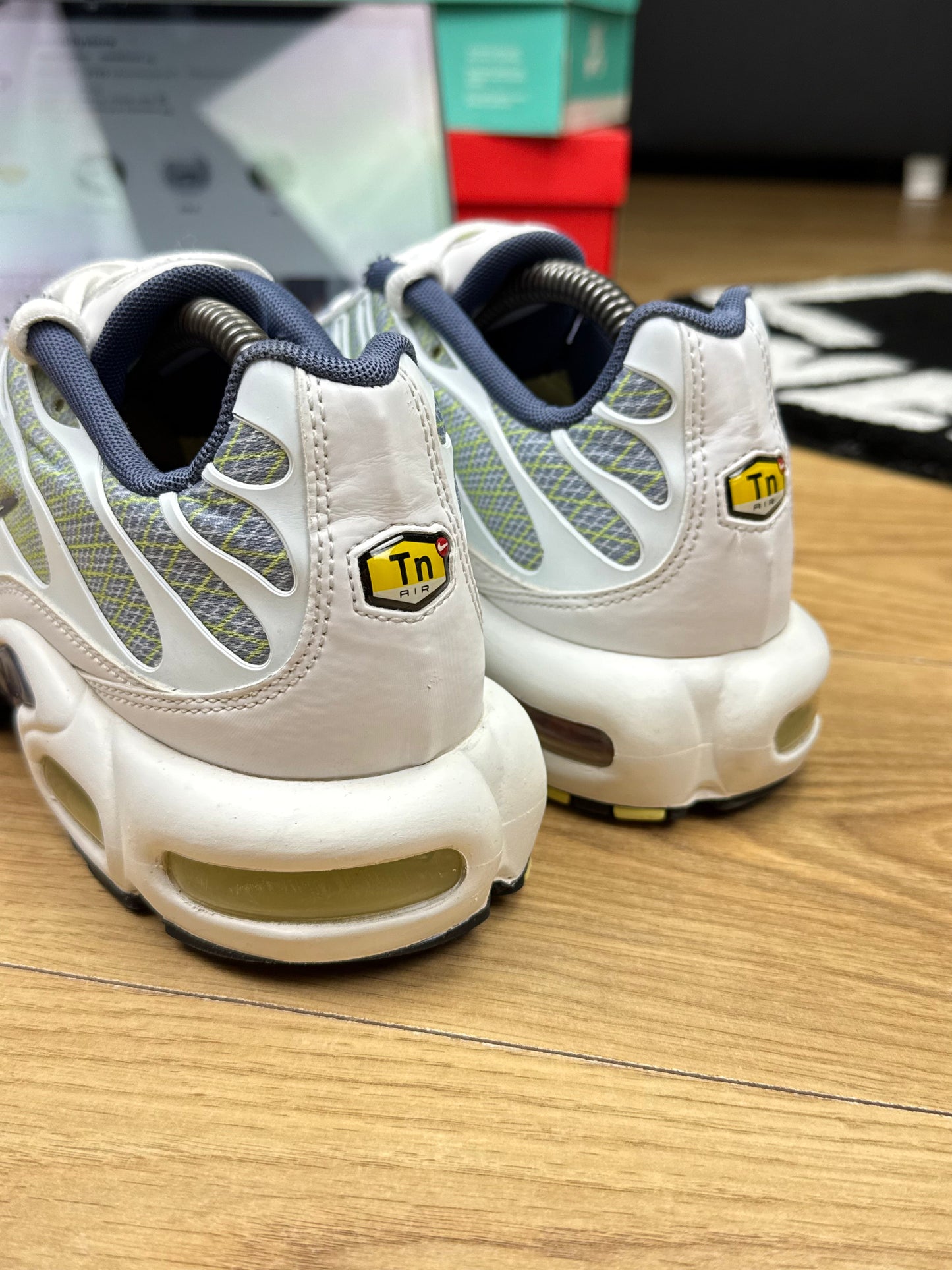 Nike Air Max Plus (44)