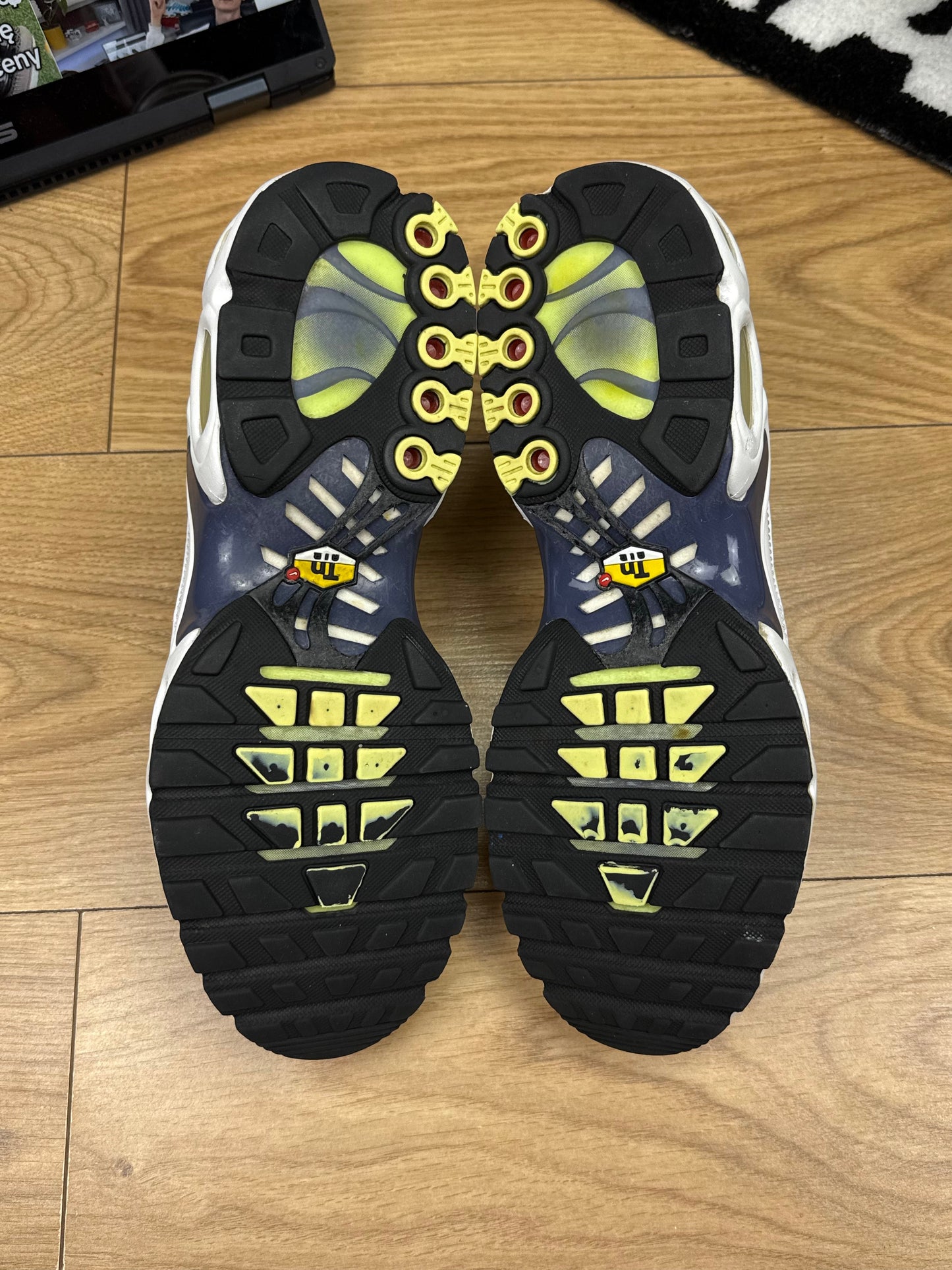 Nike Air Max Plus (44)