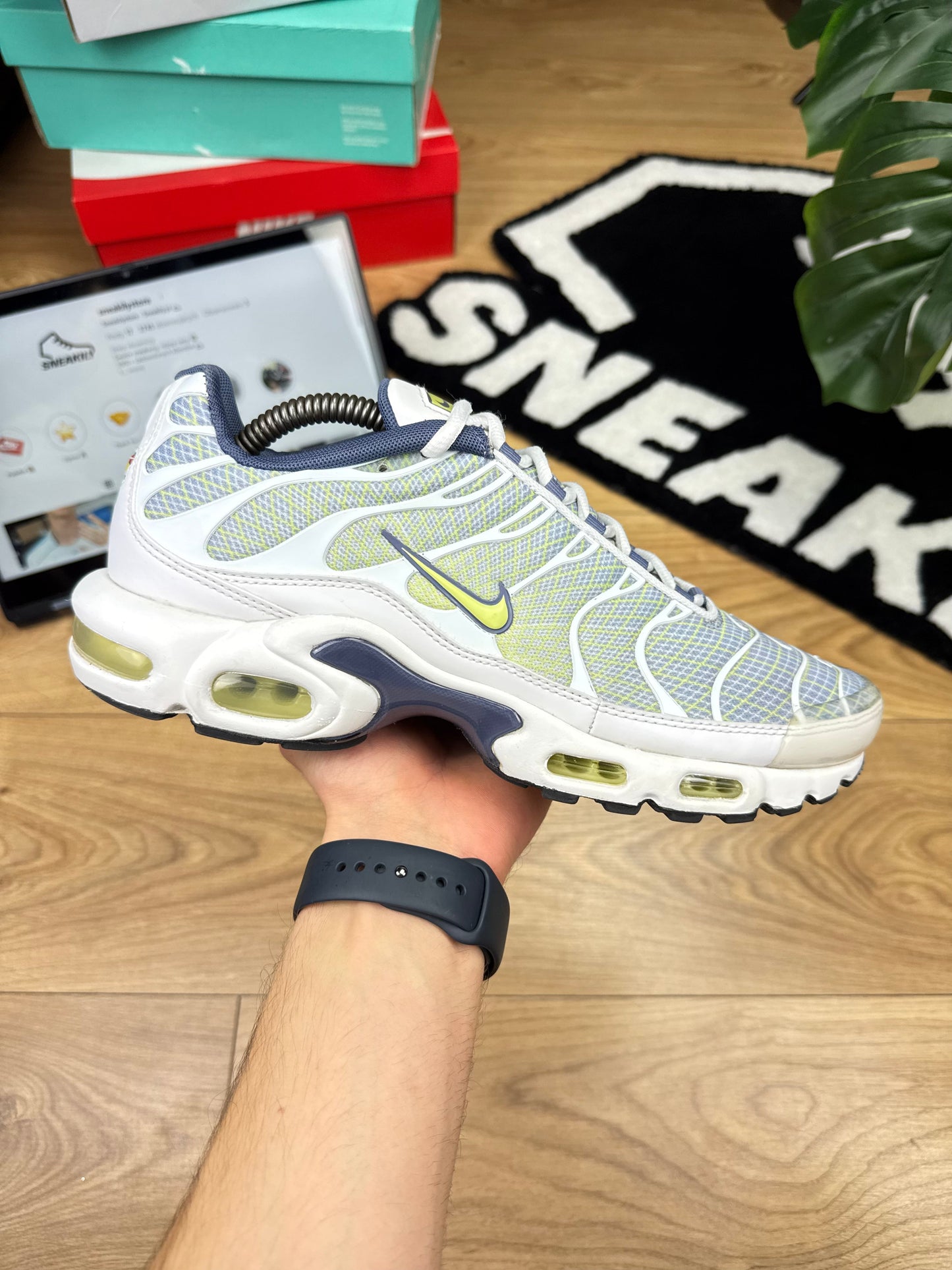 Nike Air Max Plus (44)