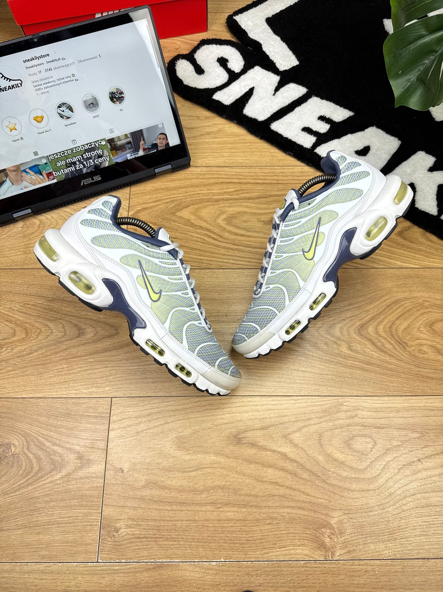 Nike Air Max Plus (44)