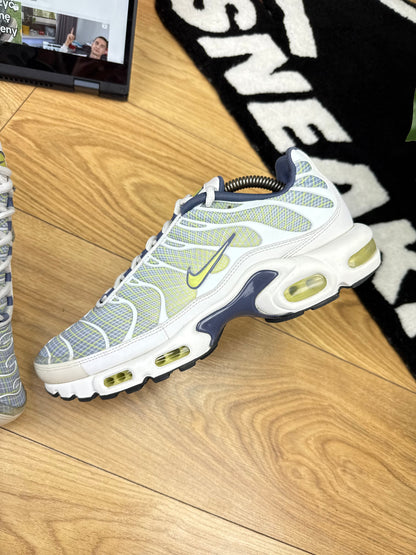 Nike Air Max Plus (44)