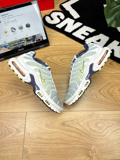 Nike Air Max Plus (44)