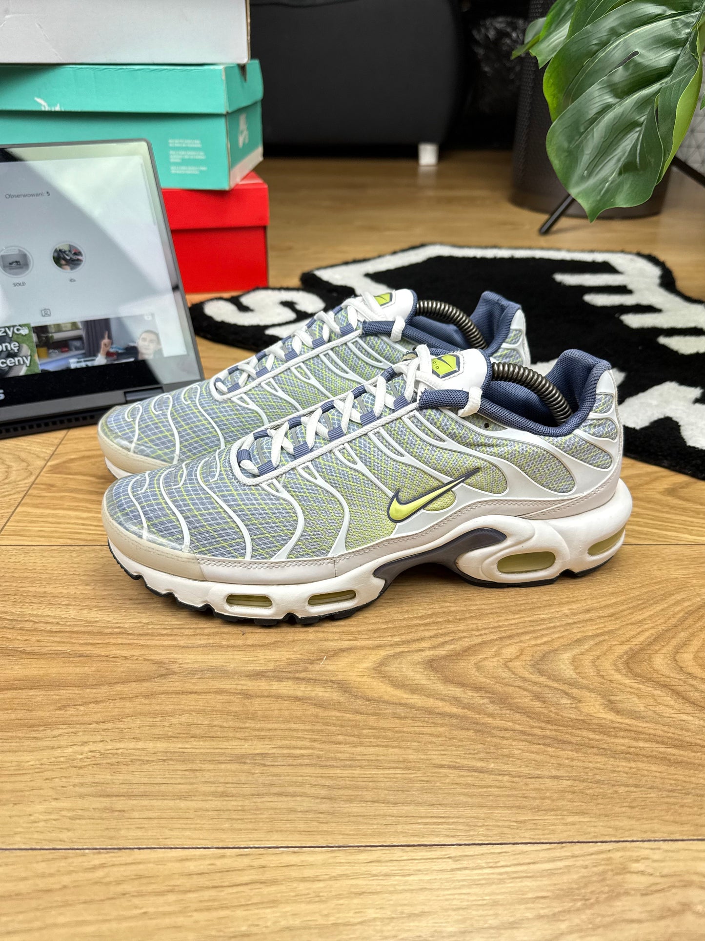 Nike Air Max Plus (44)