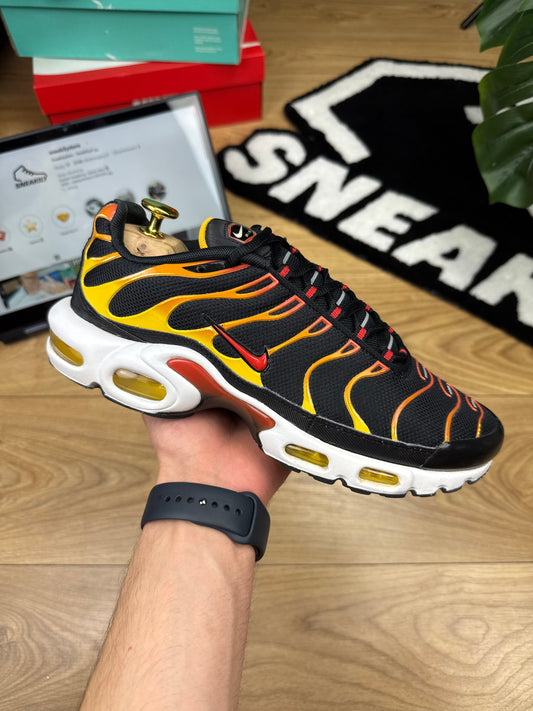 Nike Air Max Plus (42)