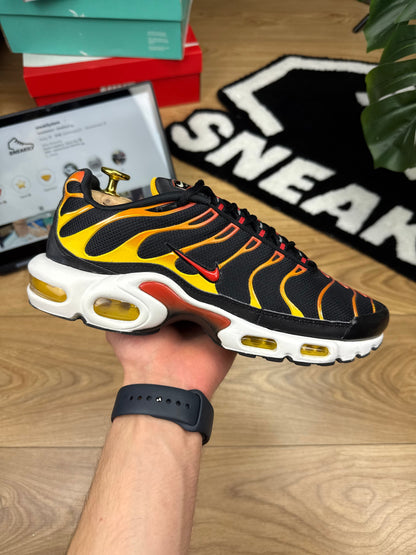Nike Air Max Plus (42)