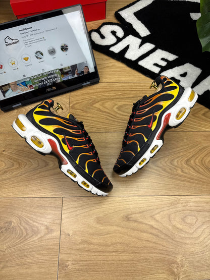 Nike Air Max Plus (42)