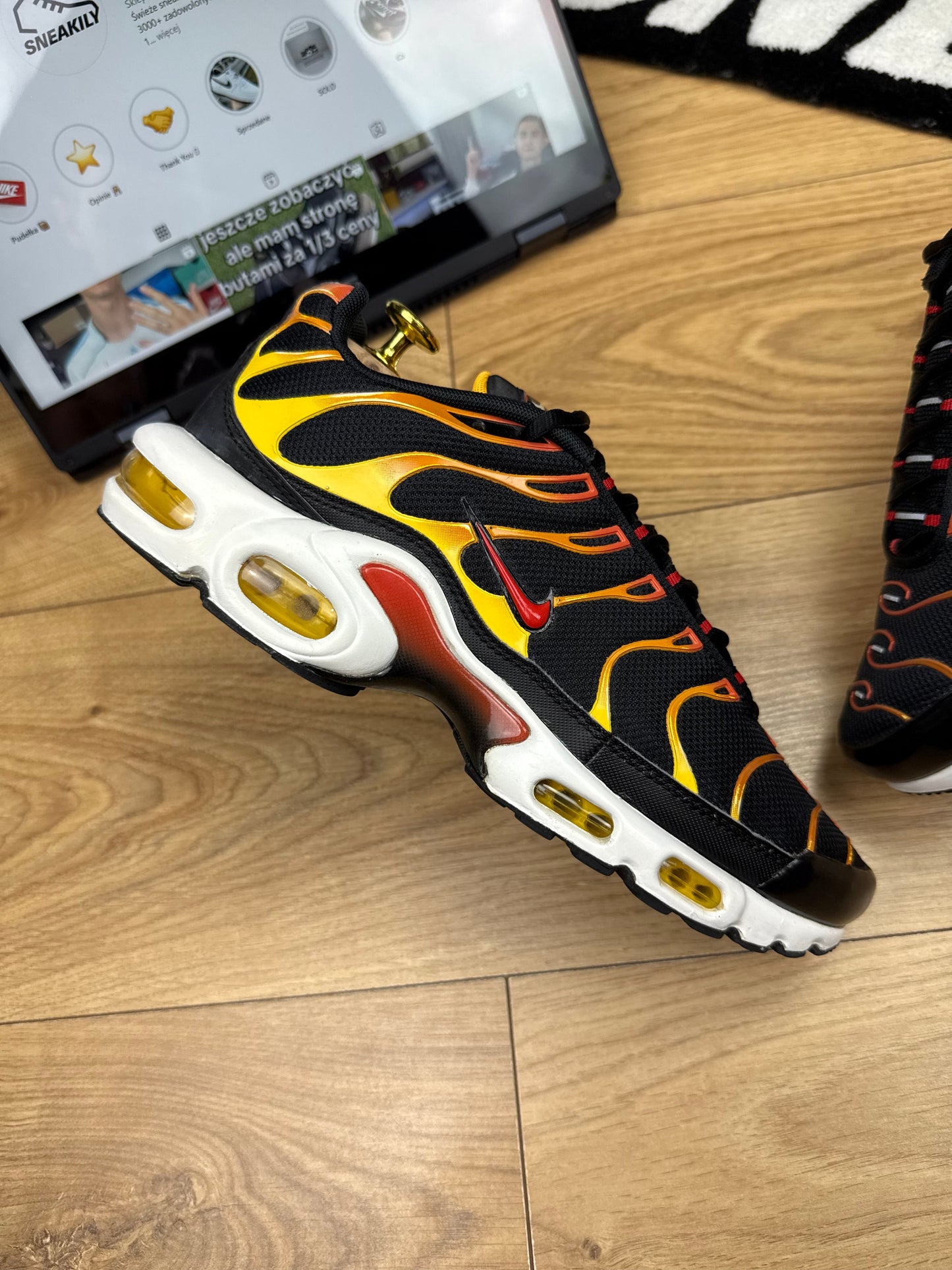 Nike Air Max Plus (42)