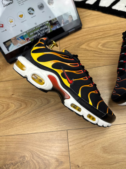 Nike Air Max Plus (42)