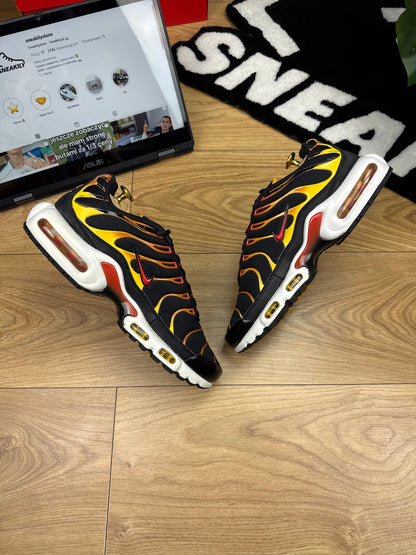 Nike Air Max Plus (42)