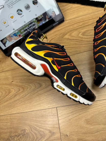 Nike Air Max Plus (42)