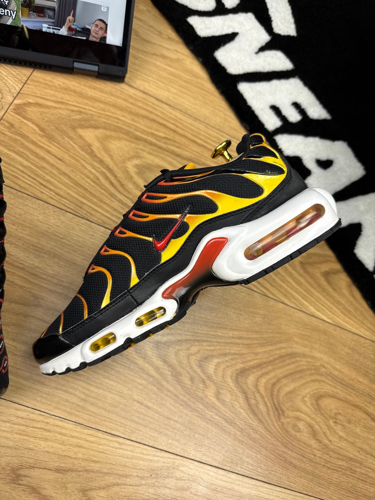 Nike Air Max Plus (42)