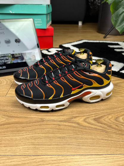 Nike Air Max Plus (42)
