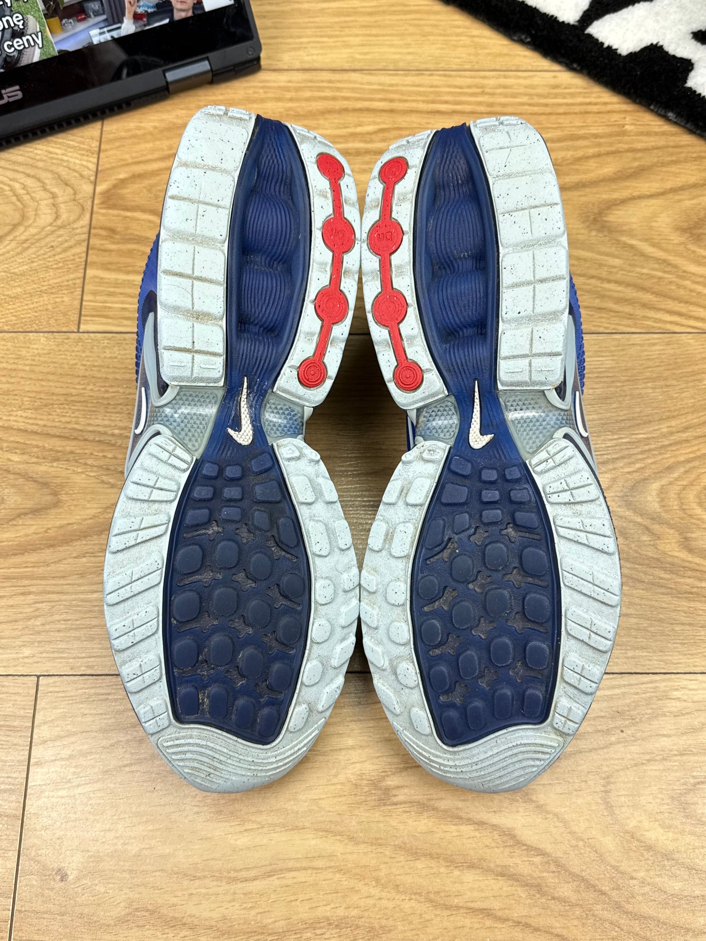 Nike Air Max DN (43)