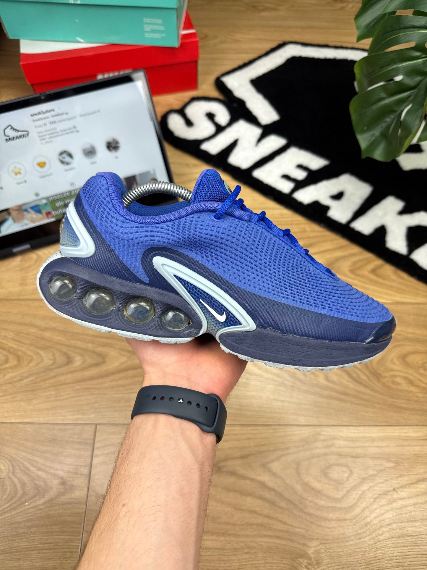 Nike Air Max DN (43)