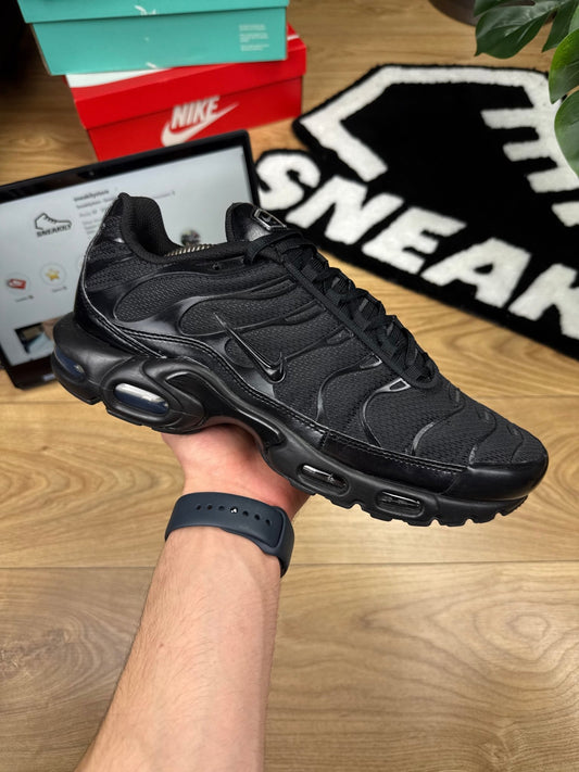 Nike Air Max Plus (45)