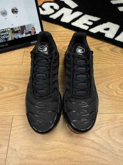 Nike Air Max Plus (45)